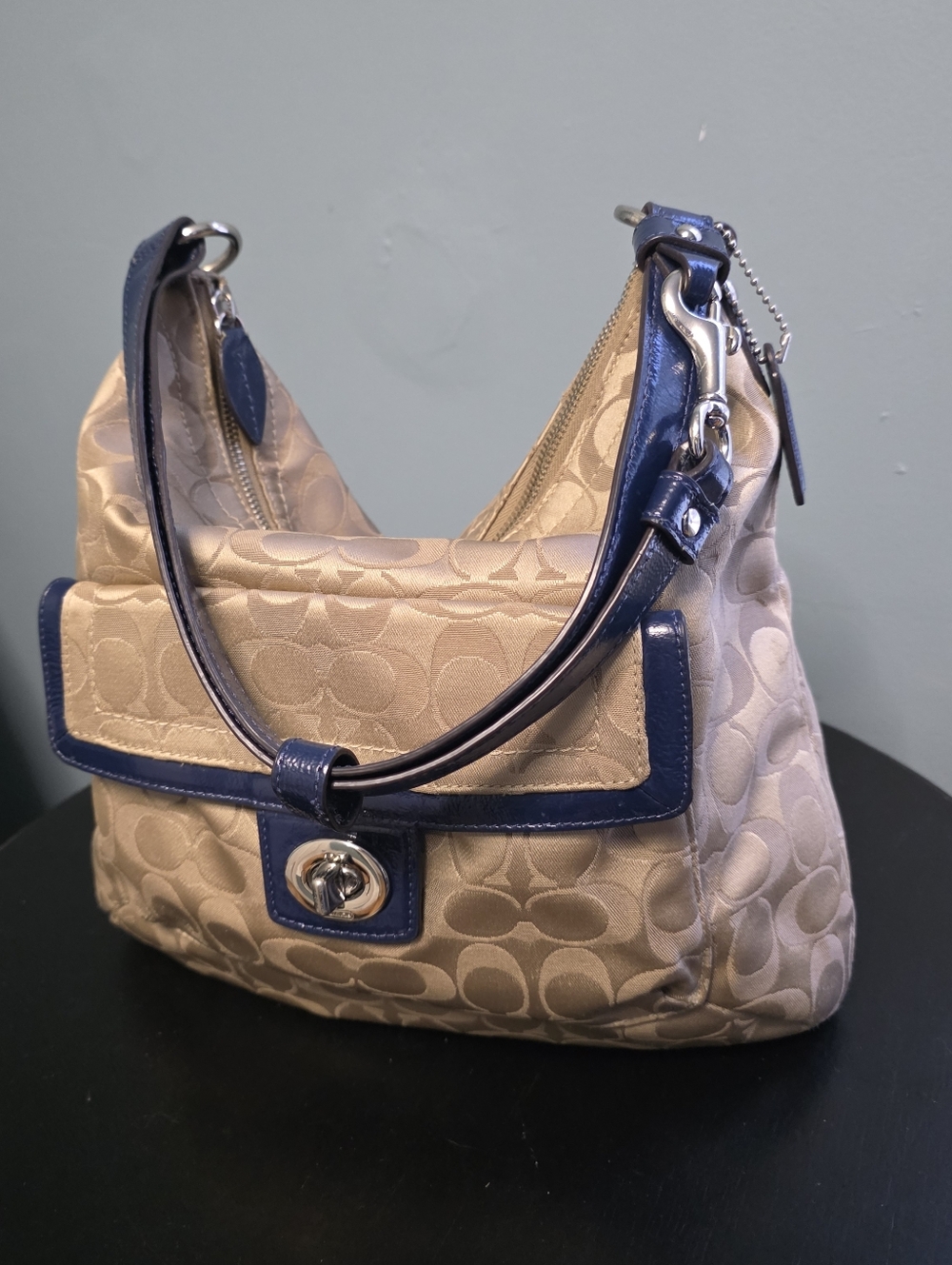 Coach Penelope Shoulder Bag